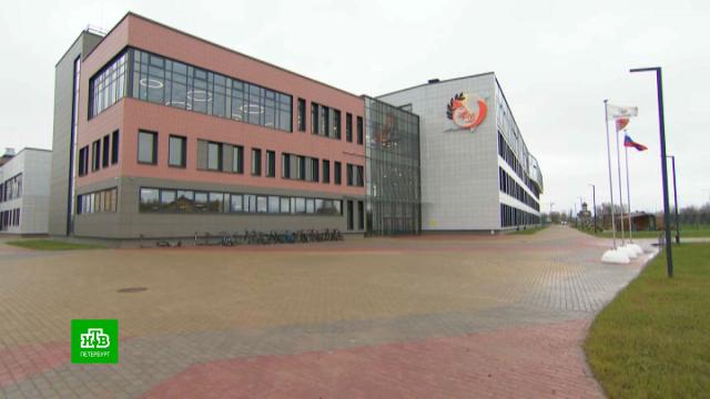 Парк раушан гүлі Реми Мартин