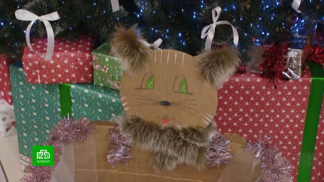        . ,  , , ,   ..Ru: , ,   