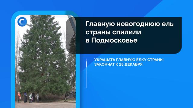 Сегодня. Главное: 8 декабря, вечер