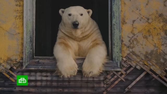  :     .  .,  ,   ,   ..Ru: , ,   