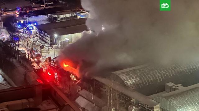 ����� ��������� �� ��� ������.���, ������, ������ � ����������.���.Ru: �������, �����, ��������� ���������� ���