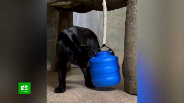 ������� �������������� �������� �������� ���������� ������� �� ���.�����-���������, ��������, ���, ������ ��� ��������, ����� ���, ��������, ��������� � ���������, �������, ���� � �������.���.Ru: �������, �����, ��������� ���������� ���