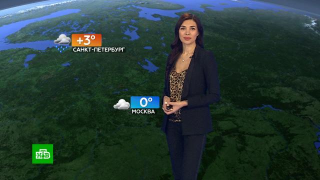 ������� ������ �� 19&nbsp;�������.������, ������� ������.���.Ru: �������, �����, ��������� ���������� ���