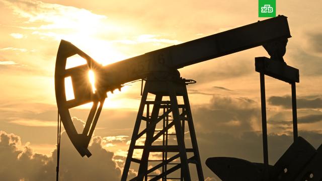 �������������� ����� ������� ������ ��������� � ����������.� ������ ������ ���������� ������� ������ ��� 5 ���������� ��� � 19 �����������. �� �������� � ���, ��� ��� ����� ������ � �������, ������� �������������� �������� ��� ������������� ������.��������������, ������, �������.���.Ru: �������, �����, ��������� ���������� ���