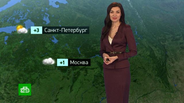 �������� ������� ������ �� 18&nbsp;�������.������, ������� ������.���.Ru: �������, �����, ��������� ���������� ���