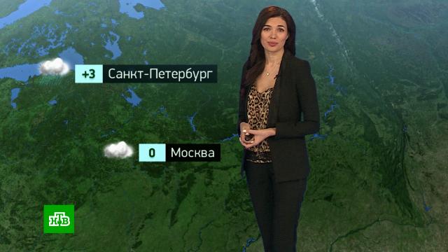 �������� ������� ������ �� 19&nbsp;�������.������, ������� ������.���.Ru: �������, �����, ��������� ���������� ���