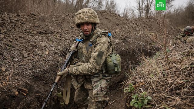 �������� ��� ��� ���� ������, ��� ����� ����� ���������� � ���� � 2026 ����.�������� ��� ������ ������� �� ��������, ��� ���������� �������� ����� ������������ � 2026 ����.���, �������, ����� � ����������� ���������.���.Ru: �������, �����, ��������� ���������� ���