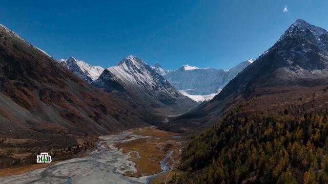 ������� �������: ��� ������ ���������� �� �����.���������� �����, ������, �������� � ���������, ������� � ����������.���.Ru: �������, �����, ��������� ���������� ���