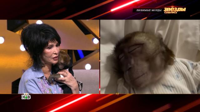 ��� �������� �&nbsp;����� ������� ������: ����� �������� ������ ���� ������� ��������.�������, ��������, ������������, ��������, ���-������, ���������.���.Ru: �������, �����, ��������� ���������� ���