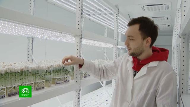 100&nbsp;��� ������������ ����������: ��� &laquo;���������&raquo; �������� ������� ������.������������� �������, ����, ����� � ��������, ��������, �������� ���������.���.Ru: �������, �����, ��������� ���������� ���