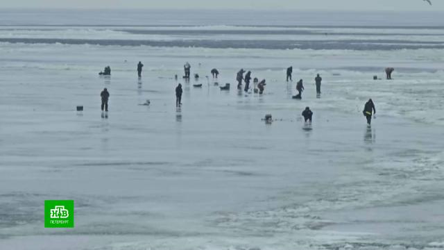 ���� ������� ������� � �������� ���������� � ������ �������.������������� �������, ���, ����, ���, ���� � �����, ������.���.Ru: �������, �����, ��������� ���������� ���