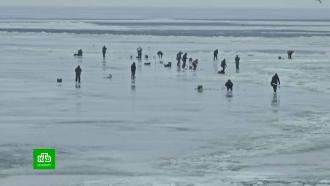 ���� ������� ������� � �������� ���������� � ������ �������