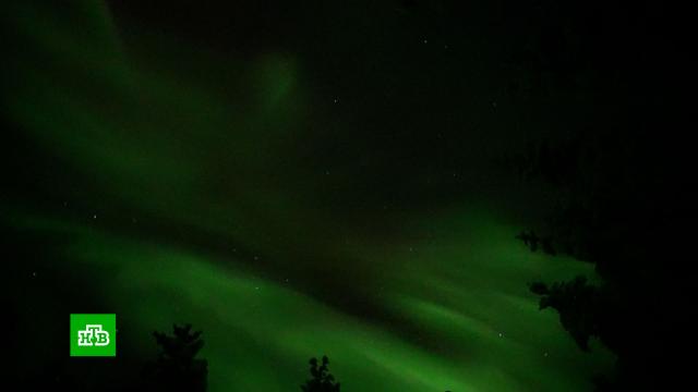 ������� ���� �&nbsp;�������� ���� ��������� ������ �&nbsp;������� ���������� �����.��������, ����������, ������ � �����������.���.Ru: �������, �����, ��������� ���������� ���