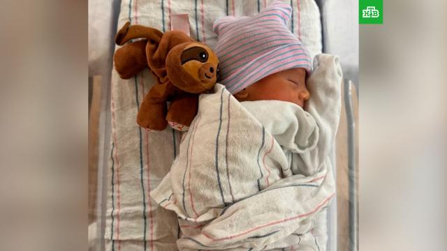 ���� ��������� � ������ �������� ����� ���������� � ��������� ���.������ ���������� ����������� ���� ��������� ����� ����� � ��������� ���.���� ���������, ������������ � ����, ������������, ������.���.Ru: �������, �����, ��������� ���������� ���