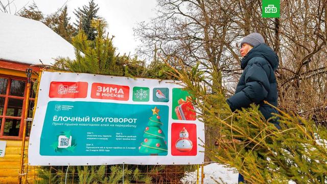 �������� ���������� ������� � ������.������ ������� ����� ���������� ������ ����� ���������� ������� �� �����������.������, ������������� ������, �������, ��������.���.Ru: �������, �����, ��������� ���������� ���