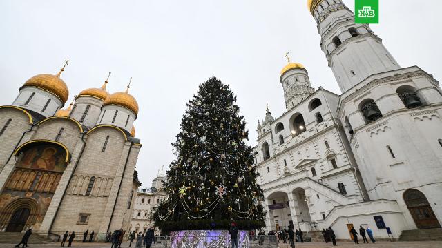 � ������ �������� ������� ���������� ���� ������.����� ���, ��������� � ���������.���.Ru: �������, �����, ��������� ���������� ���