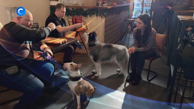 ������� ��� �&nbsp;����� ������.��������, ��������� � ������.���.Ru: �������, �����, ��������� ���������� ���