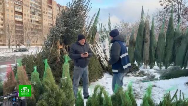 �&nbsp;���������� ������� �&nbsp;����������� �������� ��������.����� ���, �����-���������, ��������.���.Ru: �������, �����, ��������� ���������� ���