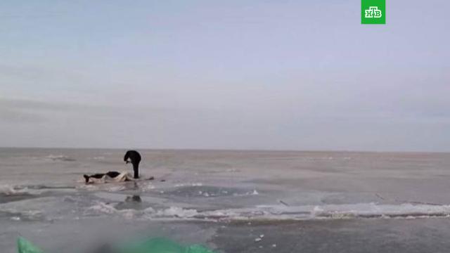 ������ � �������� ����������� ��� ��� � ��������, ���� �������.���������� � ����� �������� ���������� ��� ��� ����� ����� � ��������.�.��������, ����� � �������.���.Ru: �������, �����, ��������� ���������� ���