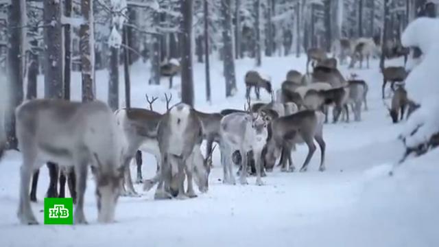 � ��������� ��������� �� ������ ���� �� ��������� ������� ������.������, ��������, ���������.���.Ru: �������, �����, ��������� ���������� ���