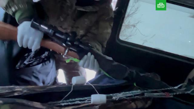 ��������� ������� ����� �� ������������ &laquo;����������&raquo; �� ������� �����.��������� �������, �������, ���, ����� � ����������� ���������, ���������.���.Ru: �������, �����, ��������� ���������� ���