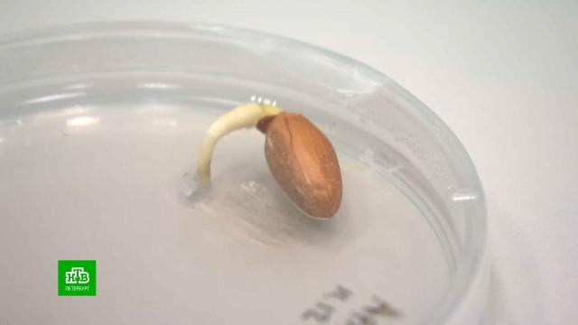 ������������� ������ ������� ������� ��� ������������� ����� �������.�����-���������, ����� � ��������, ��������.���.Ru: �������, �����, ��������� ���������� ���