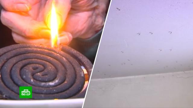 ������� ����������� � ������ ��������� ��������� ������.������ ��������, ������, ���������.���.Ru: �������, �����, ��������� ���������� ���