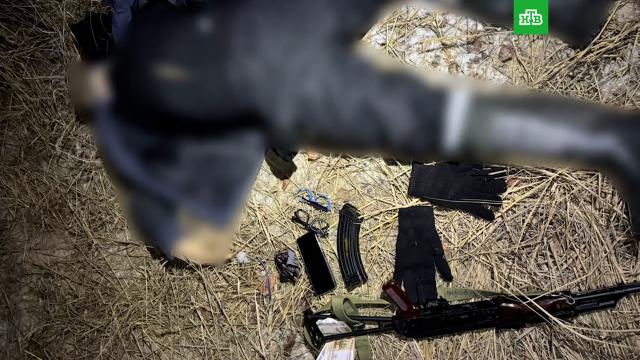 ��������� ������ ��������, ���������� �������� �������� �� ������� �������.���, ���������-��������, �������, �������, ���, ��������.���.Ru: �������, �����, ��������� ���������� ���