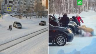 �������-�������� �� ������ �������� ����� ����� � ������������ ����