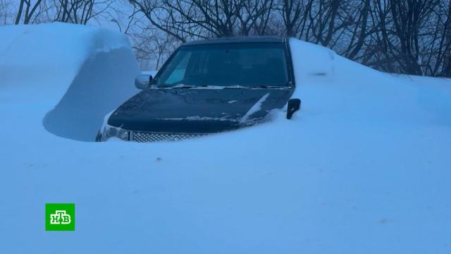 �������� ������� � �������� ���� ������������� �����.������� ������, ��������, ����, �������� ��������, ��������.���.Ru: �������, �����, ��������� ���������� ���