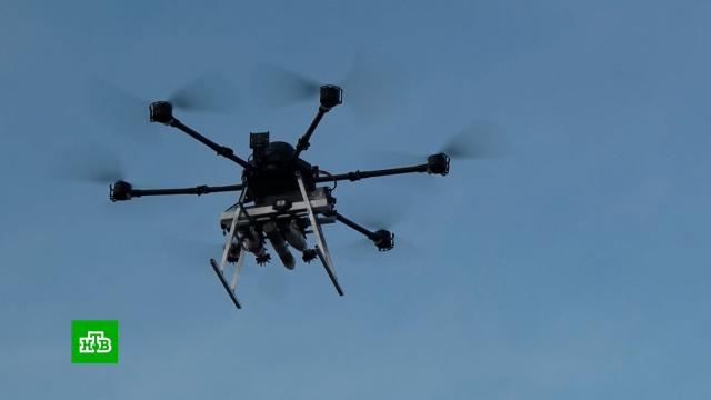 �������� ����: ���������� ����� �������������� � ��������� ��������� ����� ���.����, �������, ����� � ����������� ���������, ����������.���.Ru: �������, �����, ��������� ���������� ���