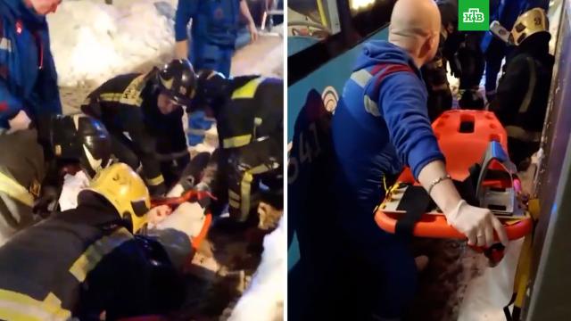 ����������� ������ ��������� �������, ������� ������ ���� ������ ��������.������, ��������, ���� � ���������.���.Ru: �������, �����, ��������� ���������� ���