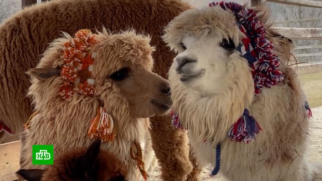 ���� ������ ��� ��������� ����������� �&nbsp;��������� ����������.���.Ru: �������, �����, ��������� ���������� ���