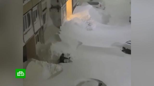 ��������� ������ ������ �� ��������.��������, ������.���.Ru: �������, �����, ��������� ���������� ���