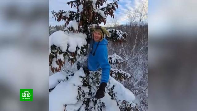 � ������� ���������� �������: ������������� ������ �������� �������.�����-���������, ���������, ����������.���.Ru: �������, �����, ��������� ���������� ���