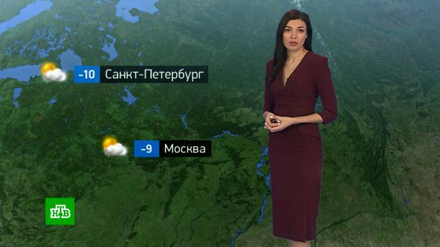 �������� ������� ������ �� 22&nbsp;������.������, ������� ������.���.Ru: �������, �����, ��������� ���������� ���