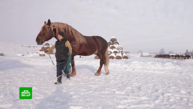 ����������� ������: � ������ ���������� ��������� ��������� �����������.��������, ���� � ������ �����.���.Ru: �������, �����, ��������� ���������� ���