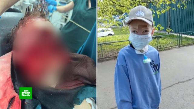 ������������ ���������� �������� �������� ������� �&nbsp;������ �&nbsp;���������.���� � ���������, ����������, ��������, ��������, ���������, ��������, ���������, ���������, ������, ����, ����.���.Ru: �������, �����, ��������� ���������� ���