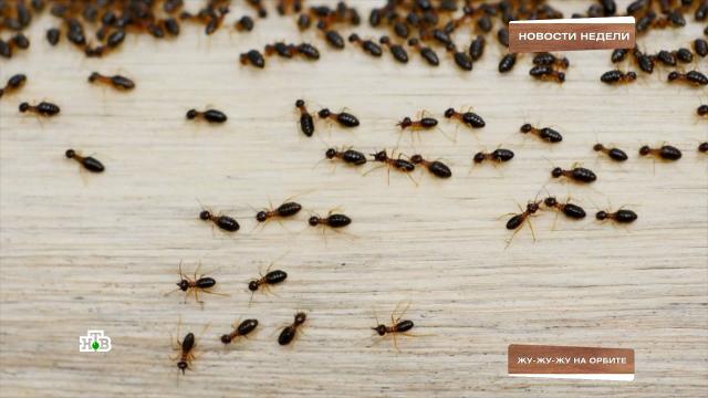 ����������� ����� ������ ������� ������ �&nbsp;���������.���, ������������, ��������.���.Ru: �������, �����, ��������� ���������� ���