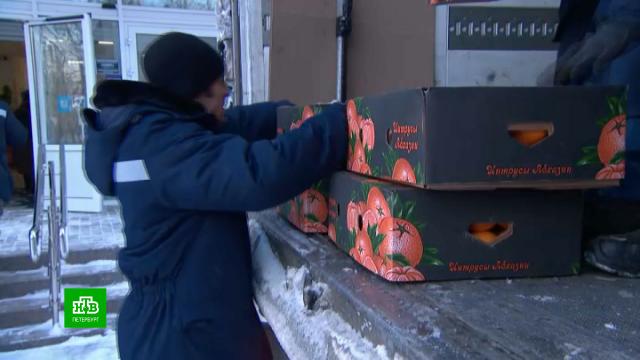 ������� �������� 15&nbsp;���� ���������� ������������� ������ �&nbsp;�������������.�����-���������, ��������, ������� ����������, �����, �������, �������, �������� ����, ����� � ������.���.Ru: �������, �����, ��������� ���������� ���