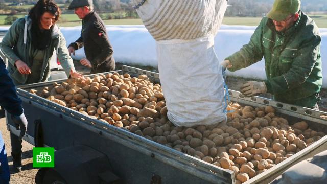 �������� �������� ���������.������, ��������, ����� � ������, �������.���.Ru: �������, �����, ��������� ���������� ���