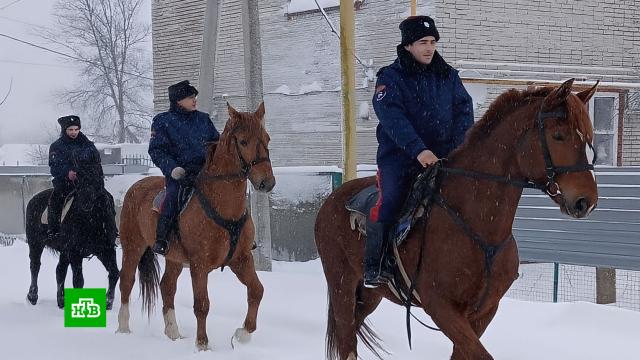 �� ������������ ��������� ������ ������� �������.������, �������� ������, ���� � ������ �����.���.Ru: �������, �����, ��������� ���������� ���