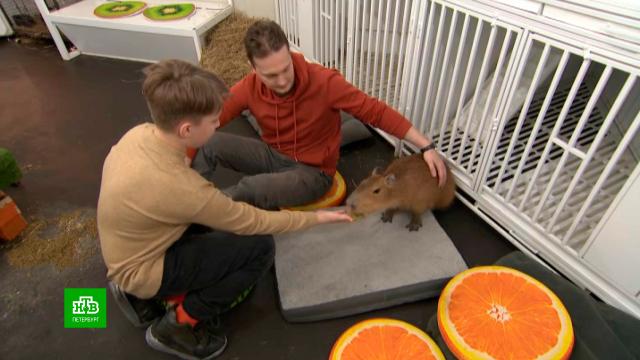 ������� ��������, ������ �������: ��� ����� ������������� �������.�����-���������, ��������, ��������� � ����.���.Ru: �������, �����, ��������� ���������� ���