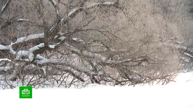 ������ ��������� ������ �� ������ ������������ ��.��������, �����-���������, ����� � ������, ��������.���.Ru: �������, �����, ��������� ���������� ���