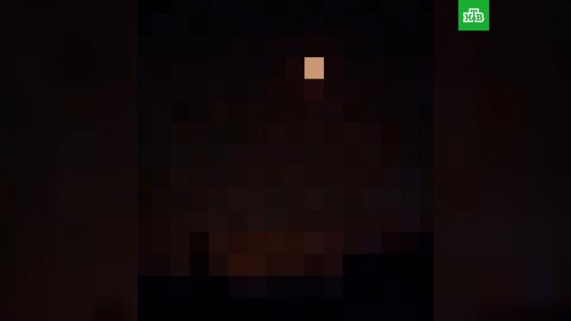 ��� ���������� ��������.��������, ���.���.Ru: �������, �����, ��������� ���������� ���