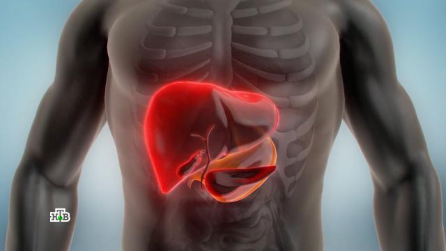 ������ ������ �������� ���� �&nbsp;���������.���, ���������, ��������.���.Ru: �������, �����, ��������� ���������� ���