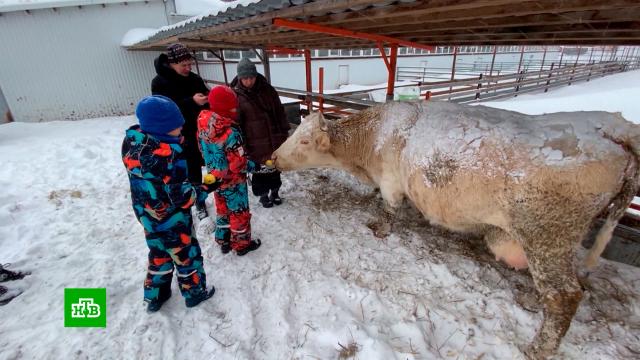 ������������: �������� ����� ���������� ����� ����� ���������� �&nbsp;��������������.�������� �������, ����������, �������� ���������, ��������� � ������.���.Ru: �������, �����, ��������� ���������� ���