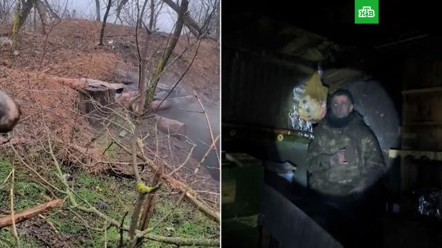 ���������� ���������� ����� �� ����� �������� ����� ��� � ��������.���, ����������� �������, ���������� ��, �������, ����.���.Ru: �������, �����, ��������� ���������� ���