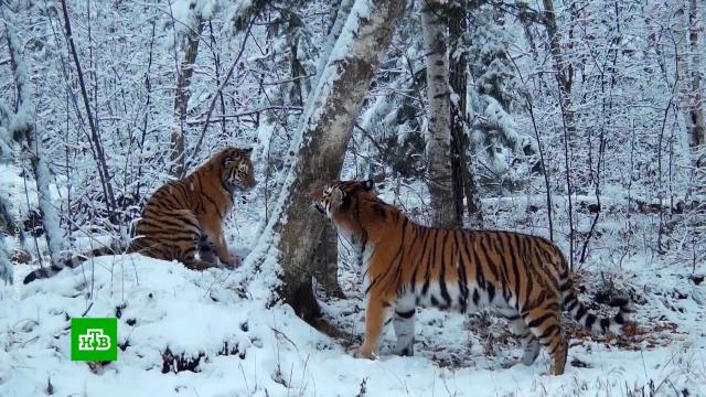 ��� ���������� �������� ������� � ��������� ��������� �������� ������.������� ������, ��������, �������, ��������, �������, ����������, �����.���.Ru: �������, �����, ��������� ���������� ���