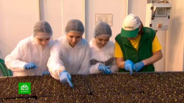 ��������� �� ����������� �������� �������� �� ������������������� ����������.������������� �������, ���� � ���������, ����������, �������� ���������, �����, �����������.���.Ru: �������, �����, ��������� ���������� ���